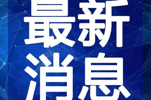 小奇最新爆料新闻视频播放,最新爆料新闻视频幕后真相